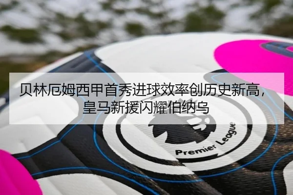 bei-lin-e-mu-xi-jia-shou-xiu-jin-qiu-xiao-lv-chuang-li-shi-xin-gao-huang-ma-xin-yuan-shan-yao-bo-na-wu-2-692.jpg