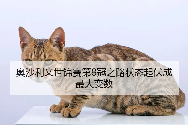 奥沙利文世锦赛第8冠之路状态起伏成最大变数