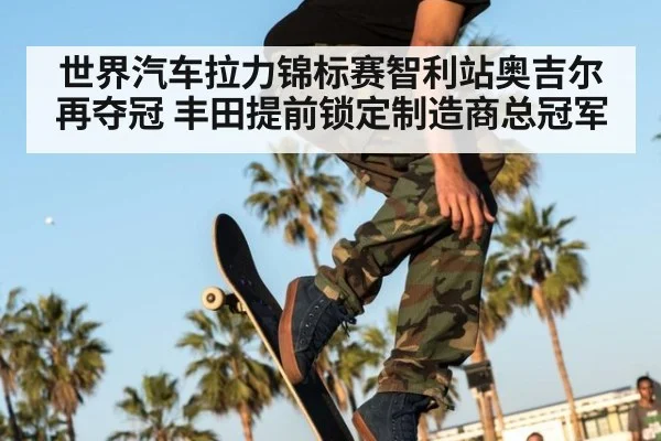 世界汽车拉力锦标赛智利站奥吉尔再夺冠 丰田提前锁定制造商总冠军